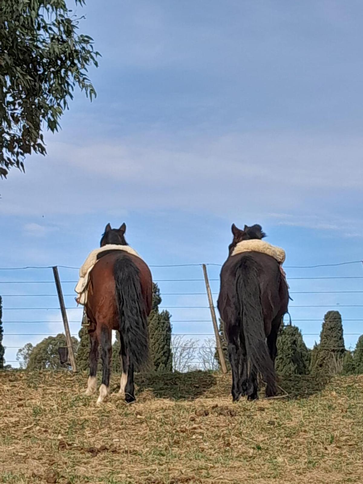 Chacras De Azcona Hosteria Azul Εξωτερικό φωτογραφία