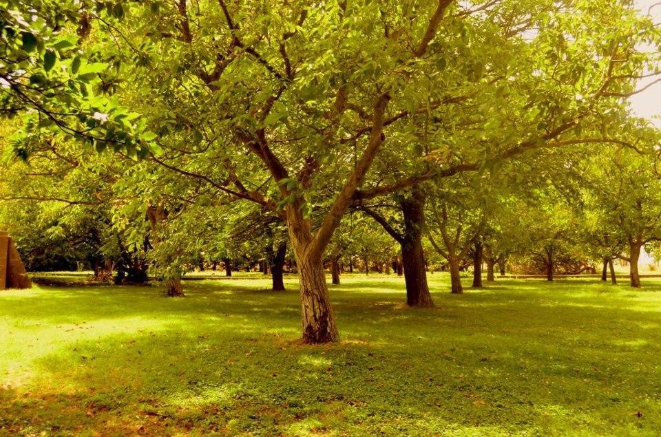 Chacras De Azcona Hosteria Azul Εξωτερικό φωτογραφία