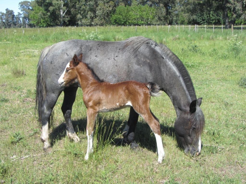 Chacras De Azcona Hosteria Azul Εξωτερικό φωτογραφία