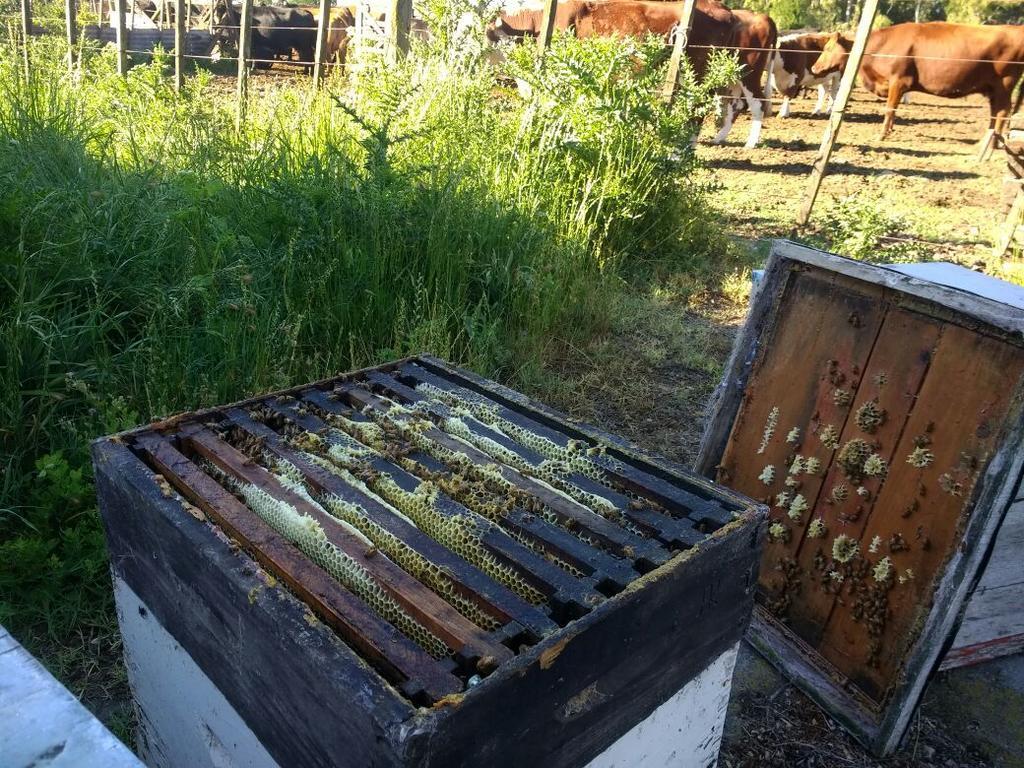 Chacras De Azcona Hosteria Azul Εξωτερικό φωτογραφία